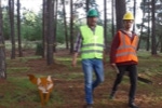 videos corporativo
